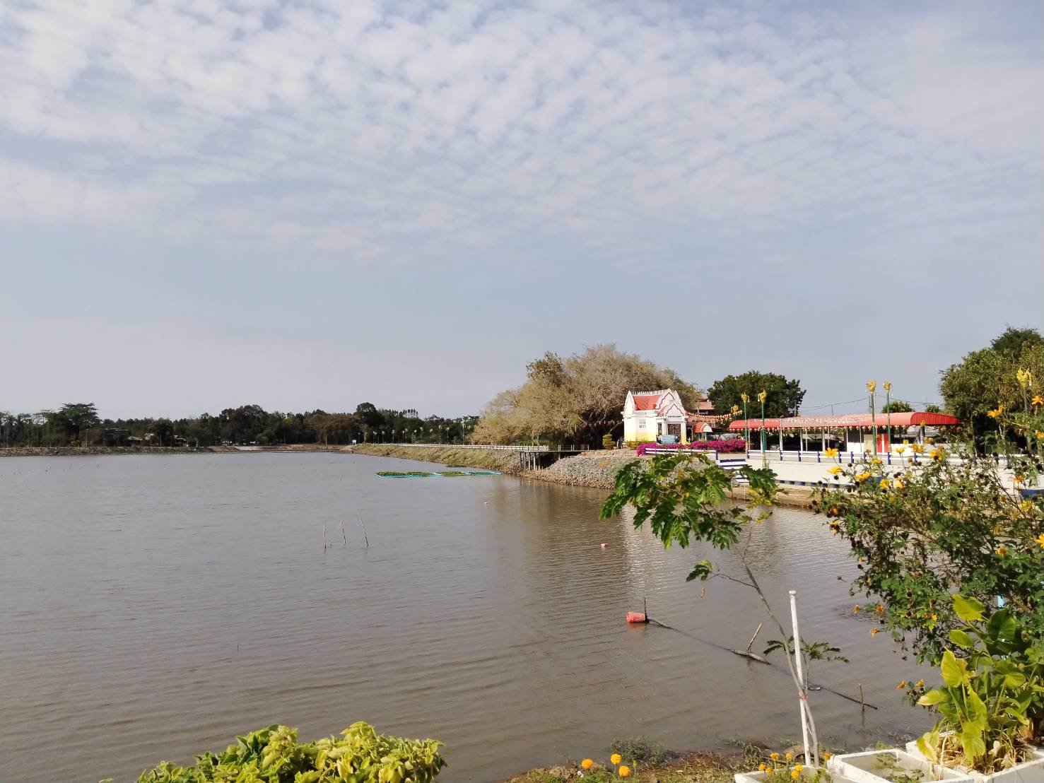 ขายที่ดิน-200-ตารางวา-อยู่หลังสำนักงานเทศบาล-ตำบล-คูเมือง-บุรีรัมย์