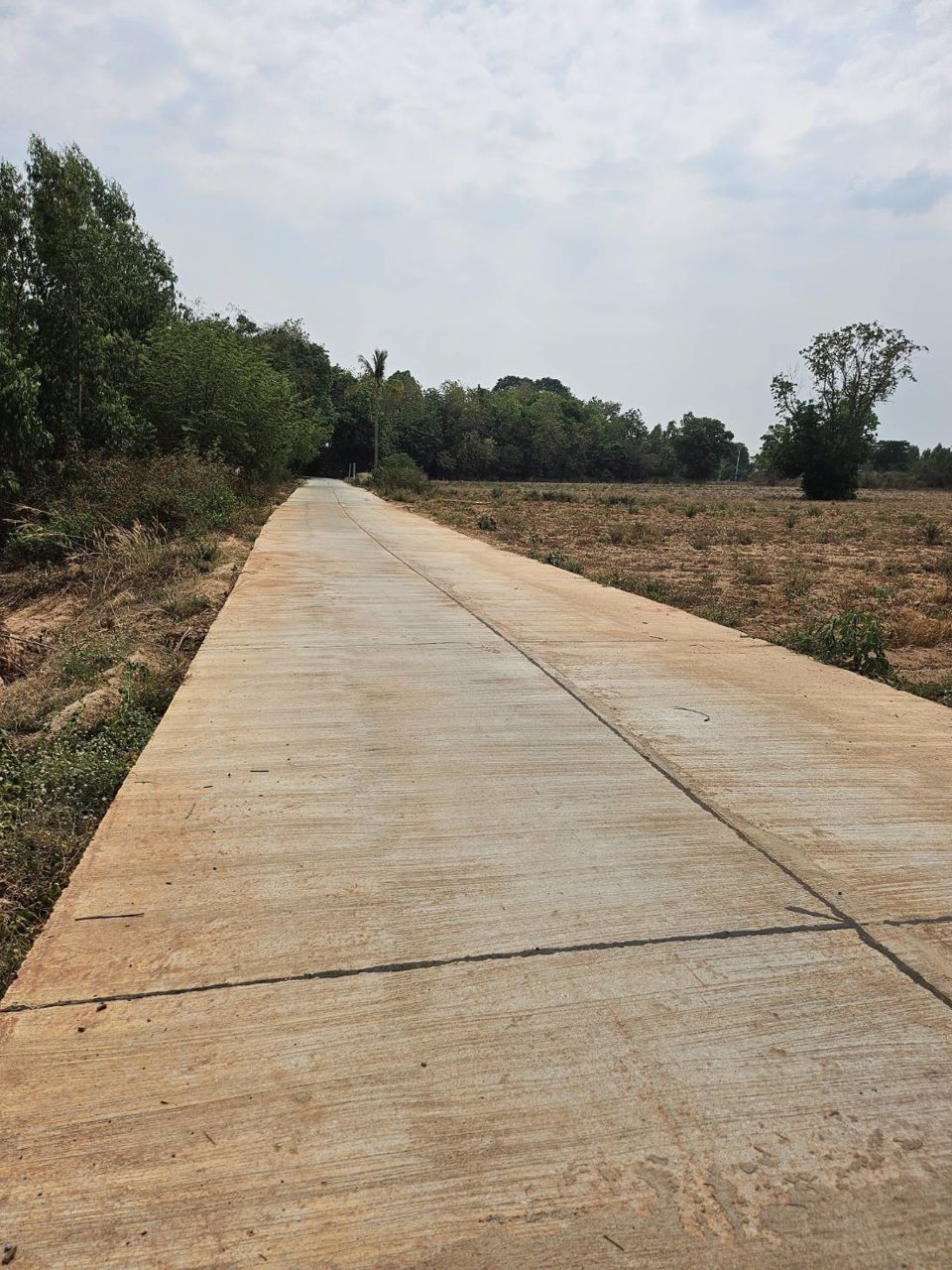 ขายที่ดิน-200-ตารางวา-อยู่หลังสำนักงานเทศบาล-ตำบล-คูเมือง-บุรีรัมย์