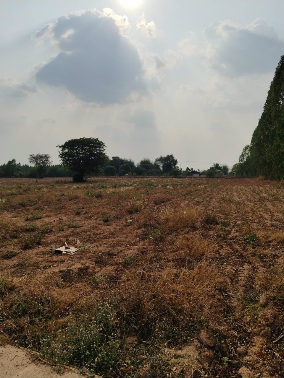 ขายที่ดิน-200-ตารางวา-อยู่หลังสำนักงานเทศบาล-ตำบล-คูเมือง-บุรีรัมย์