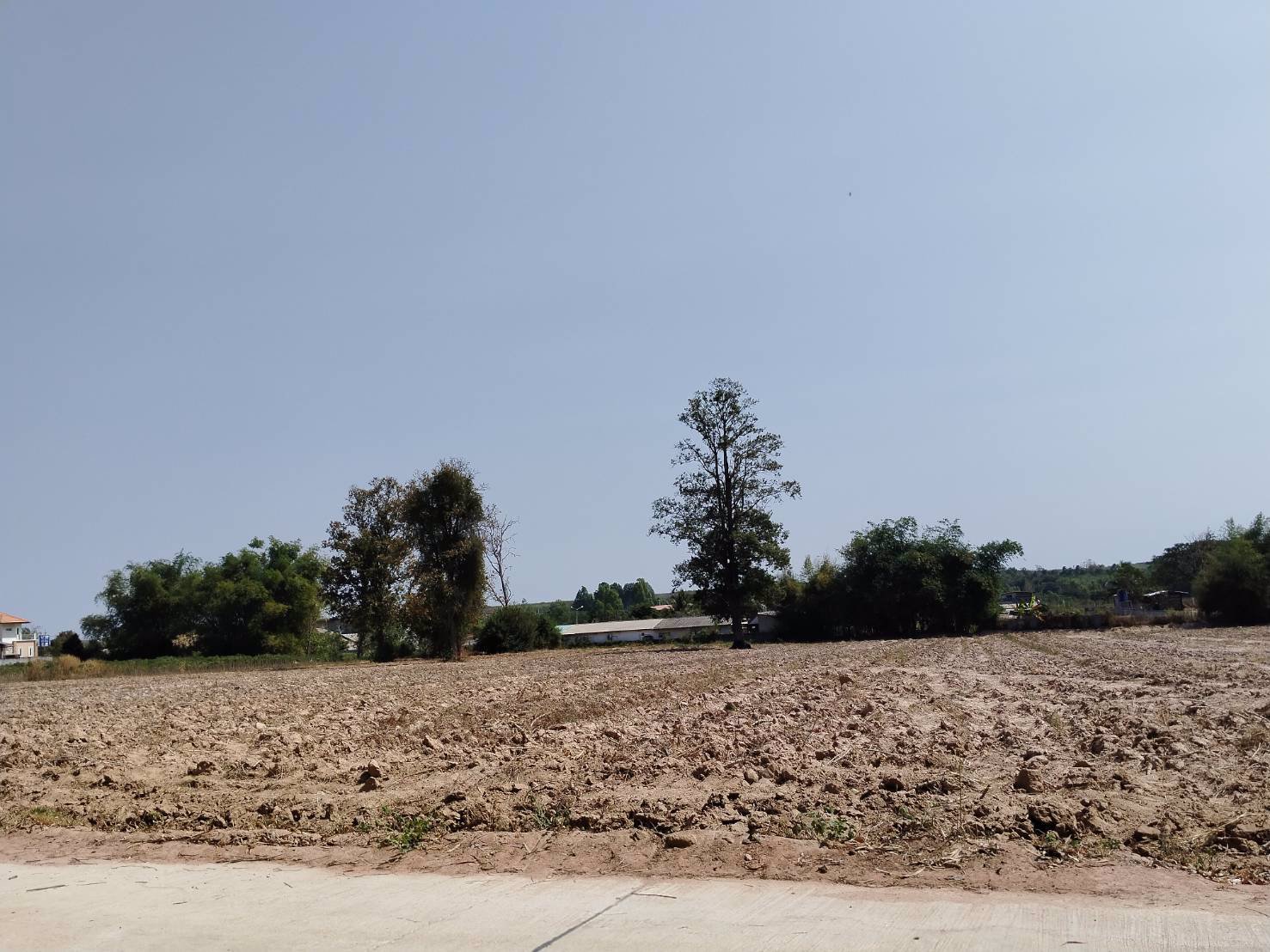 ขายที่ดิน-200-ตารางวา-อยู่หลังสำนักงานเทศบาล-ตำบล-คูเมือง-บุรีรัมย์