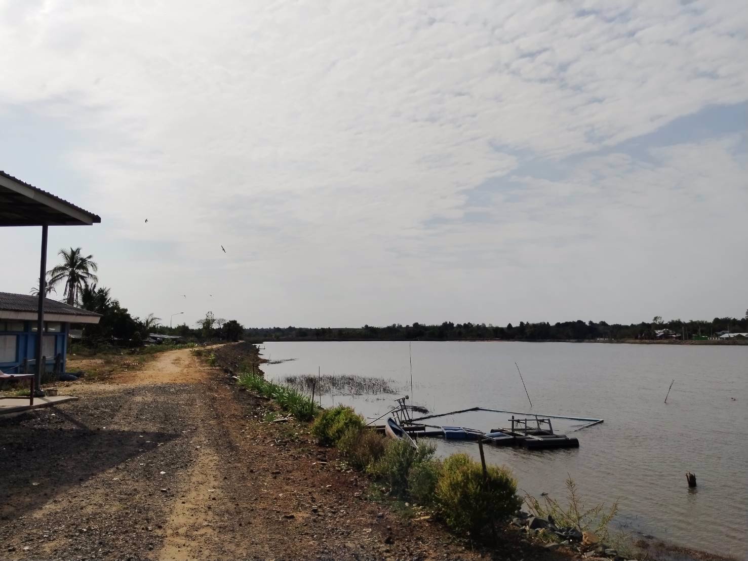 ขายที่ดิน-200-ตารางวา-อยู่หลังสำนักงานเทศบาล-ตำบล-คูเมือง-บุรีรัมย์