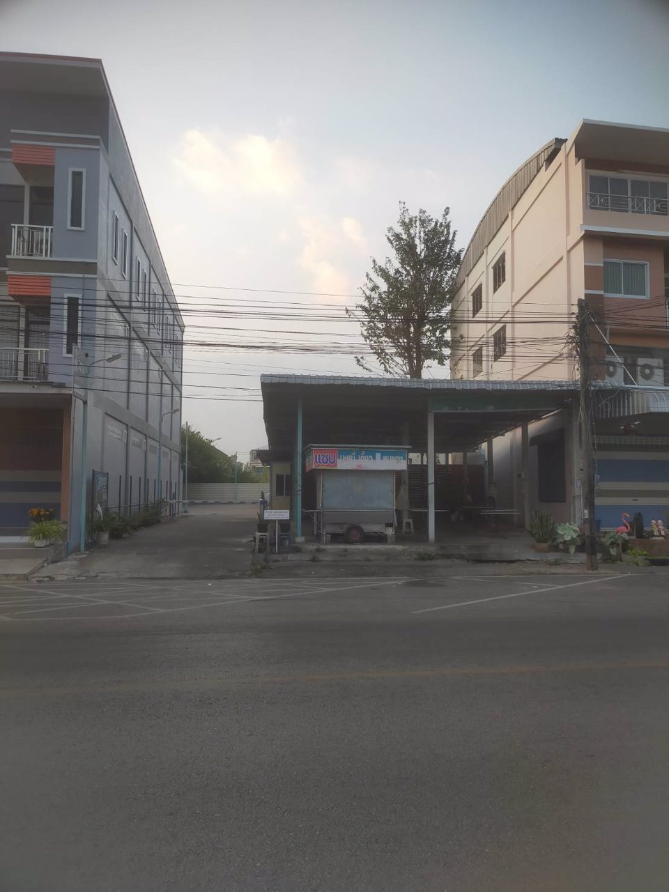 ขายที่ดิน-โฉนด-2-แปลง-ติดกัน-เนื้อที่-330-ตารางวา