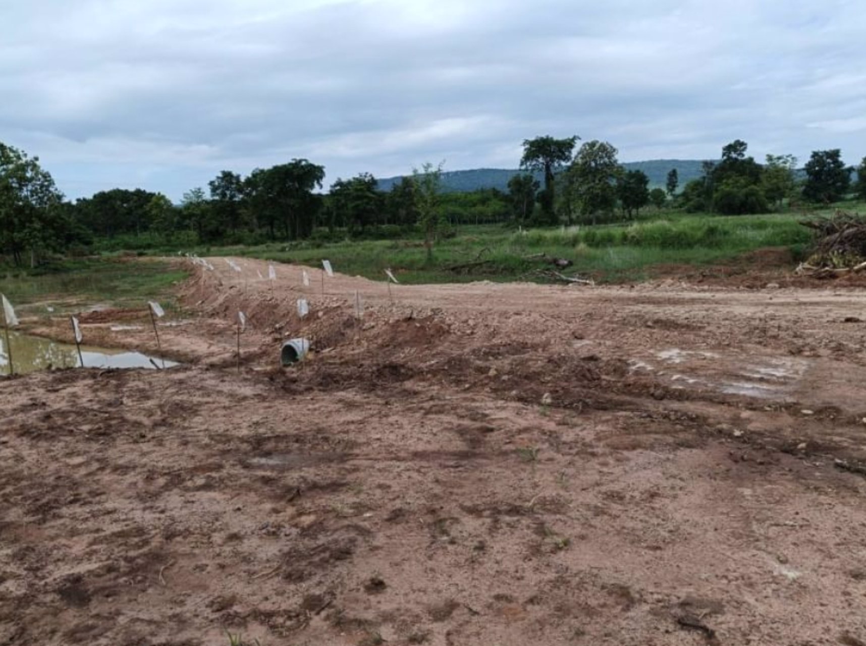 ขายที่ดินทำบ้าน-เนื้อที่50ตรว-ราคา55000บาท