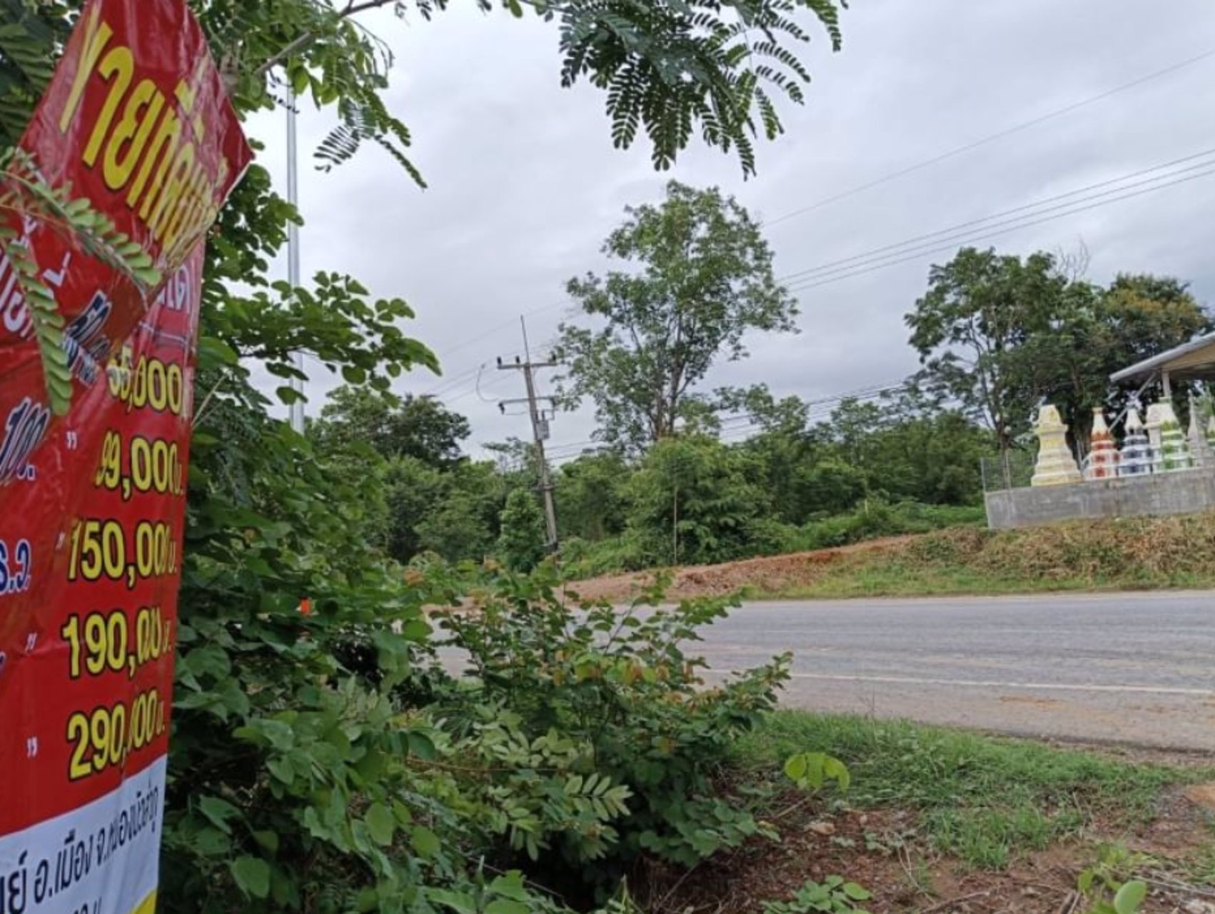 ขายที่ดินทำบ้าน-เนื้อที่50ตรว-ราคา55000บาท