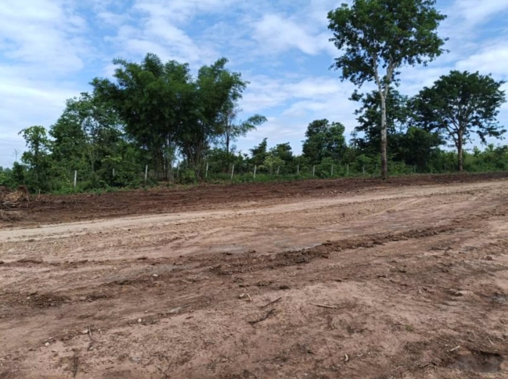 ขายที่ดินทำบ้าน-เนื้อที่50ตรว-ราคา55000บาท