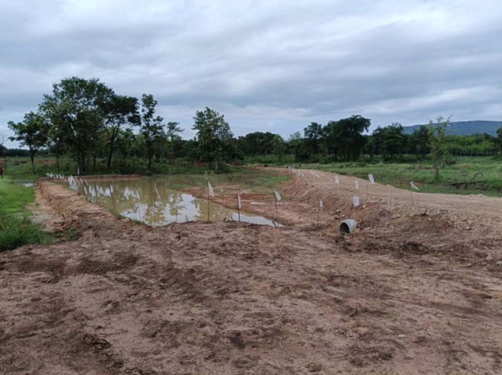 ขายที่ดินทำบ้าน-เนื้อที่50ตรว-ราคา55000บาท