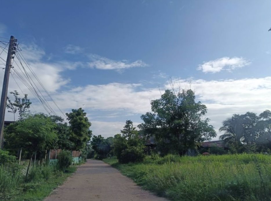 ขายที่ดินบ้านกุดจิก100ตรวราคา150000บาท