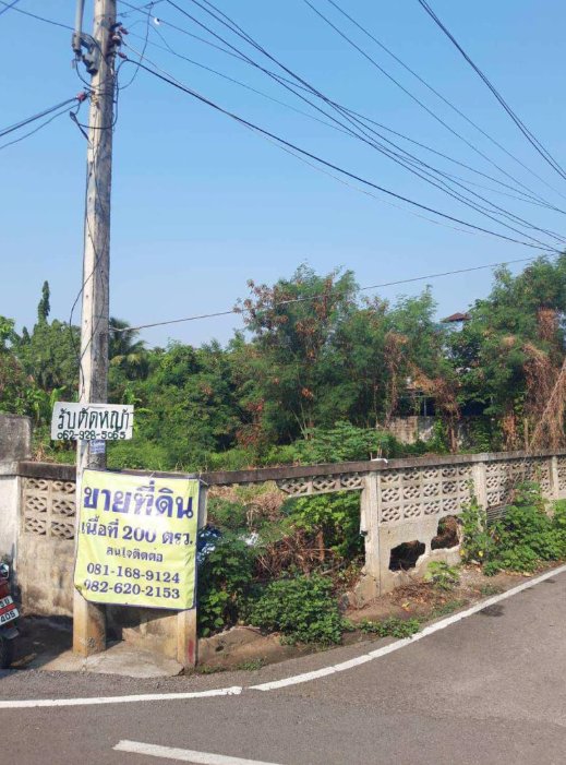 ขายที่ดินทำบ้านพัก-ติดถนนคอนกรีต