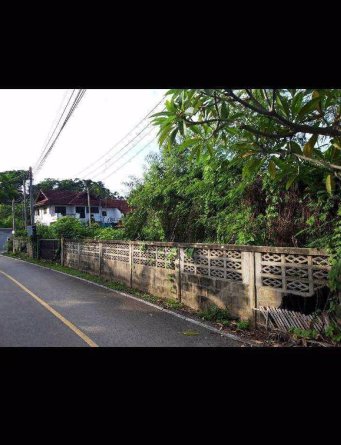 ขายที่ดินทำบ้านพัก-ติดถนนคอนกรีต