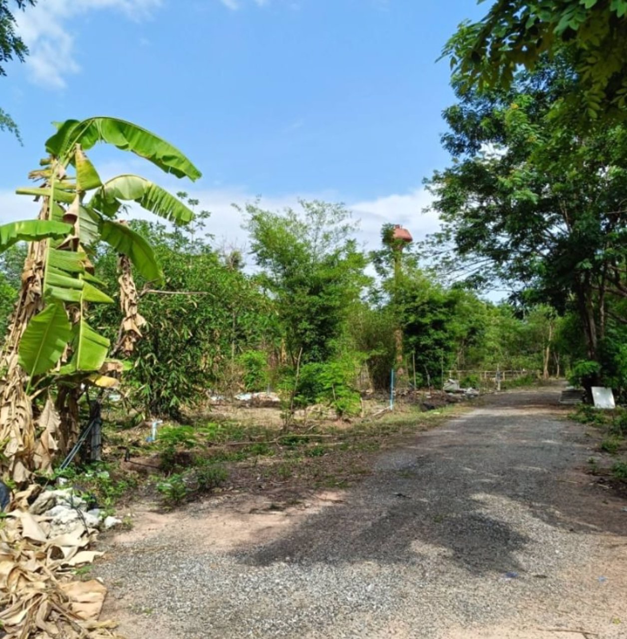 ขายที่ดินติดรั้วรพศูนย์มะเร็งอุดร138ตรว