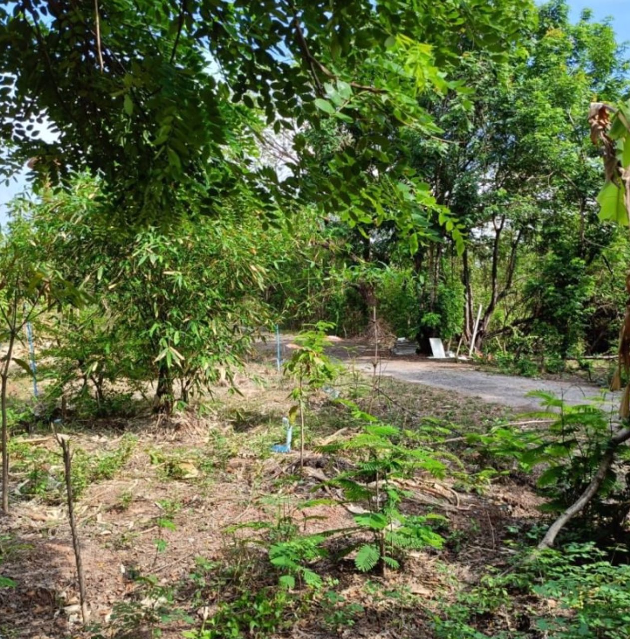 ขายที่ดินติดรั้วรพศูนย์มะเร็งอุดร138ตรว