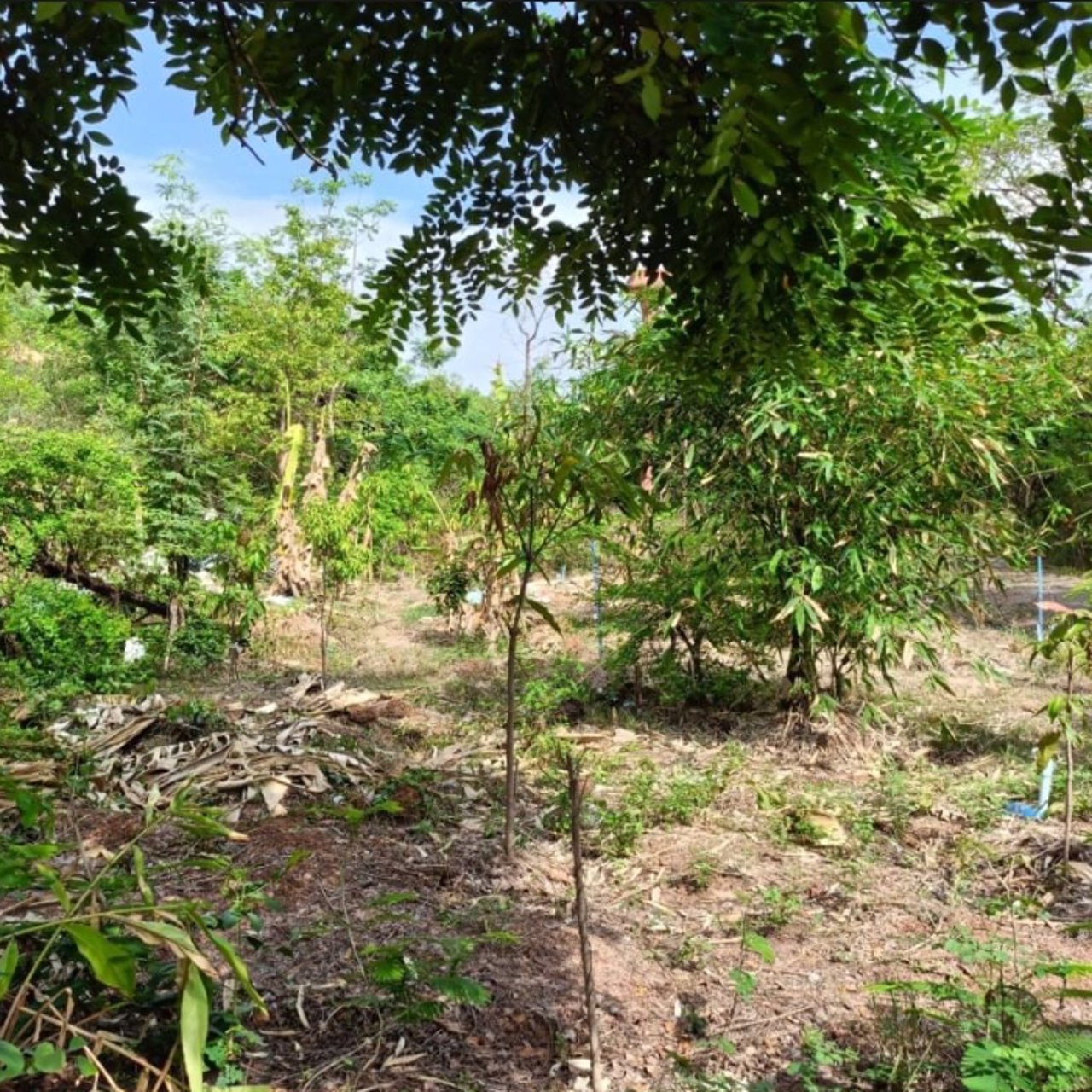 ขายที่ดินติดรั้วรพศูนย์มะเร็งอุดร138ตรว