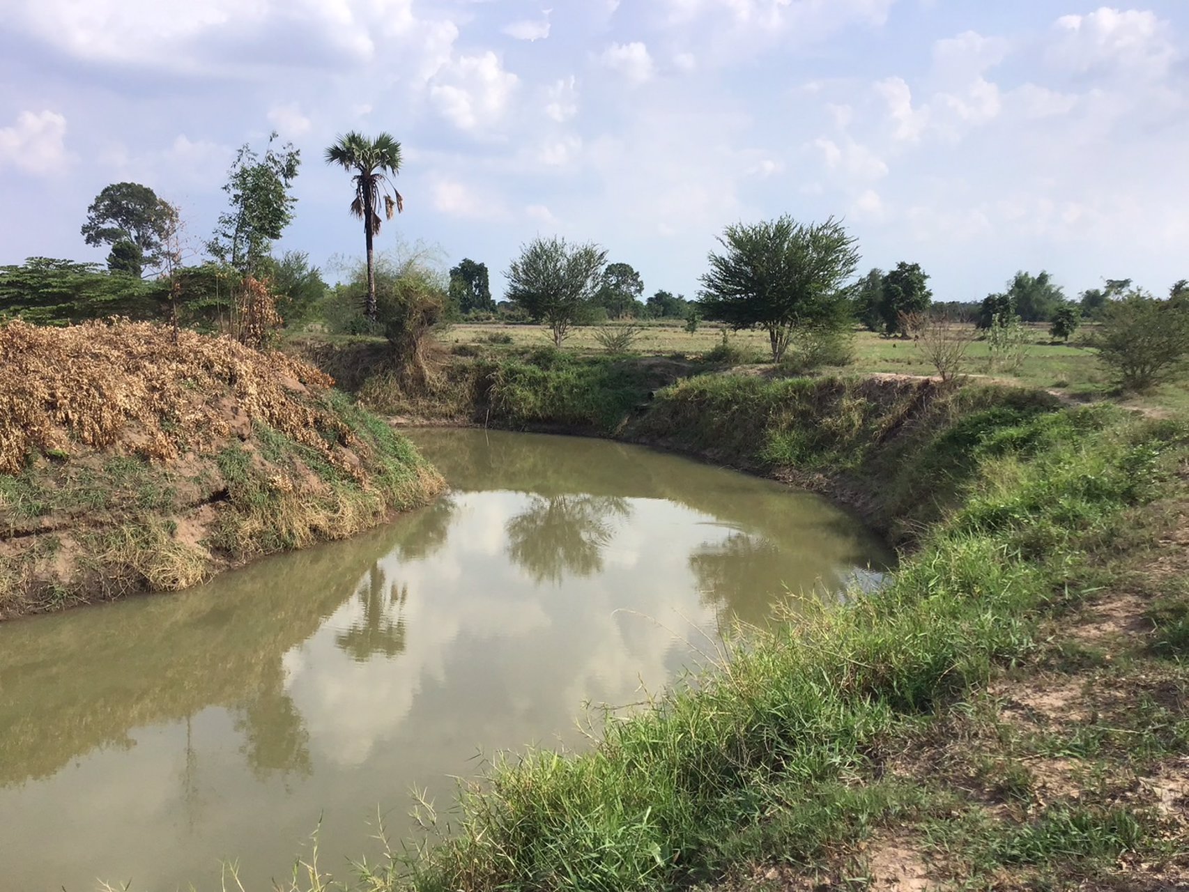 ที่ดิน-โฉนดครุฑแดง-ราคาถูก-ไร่ละ-120000