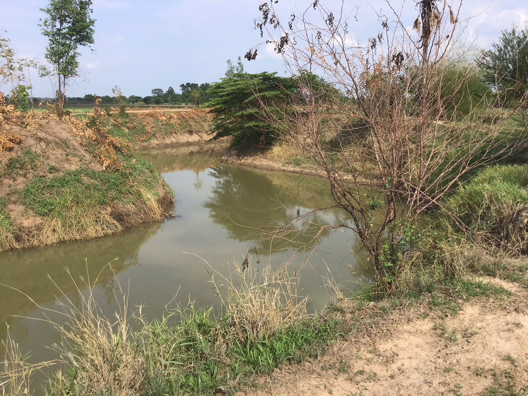 ที่ดิน-โฉนดครุฑแดง-ราคาถูก-ไร่ละ-120000