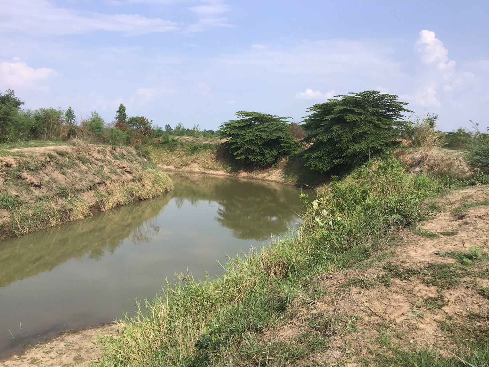 ที่ดิน-โฉนดครุฑแดง-ราคาถูก-ไร่ละ-120000