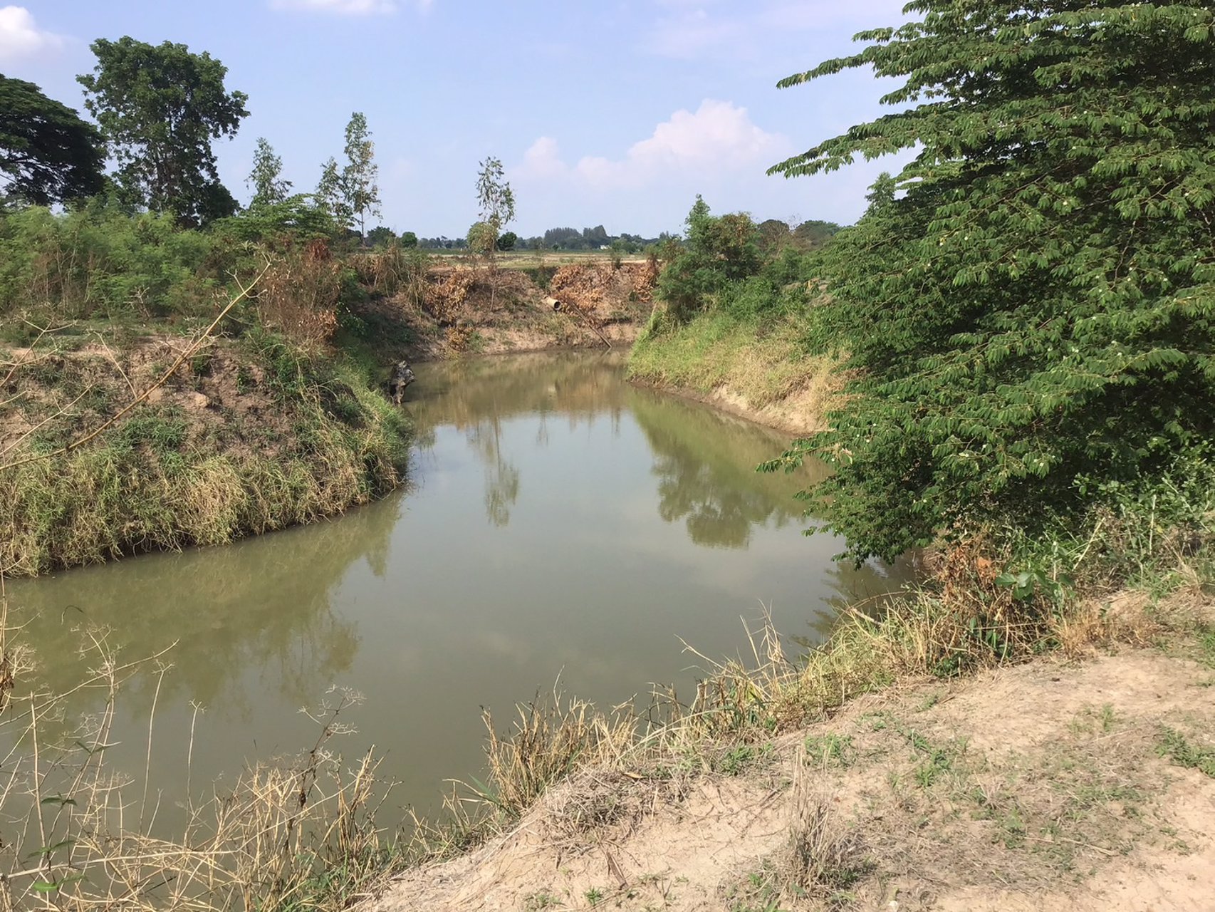 ที่ดิน-โฉนดครุฑแดง-ราคาถูก-ไร่ละ-120000