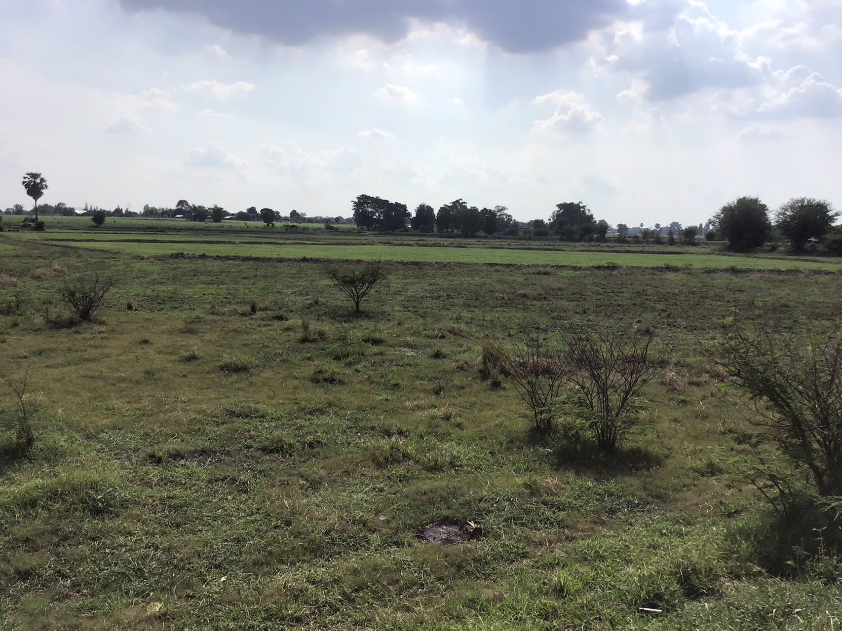 ที่ดิน-โฉนดครุฑแดง-ราคาถูก-ไร่ละ-120000