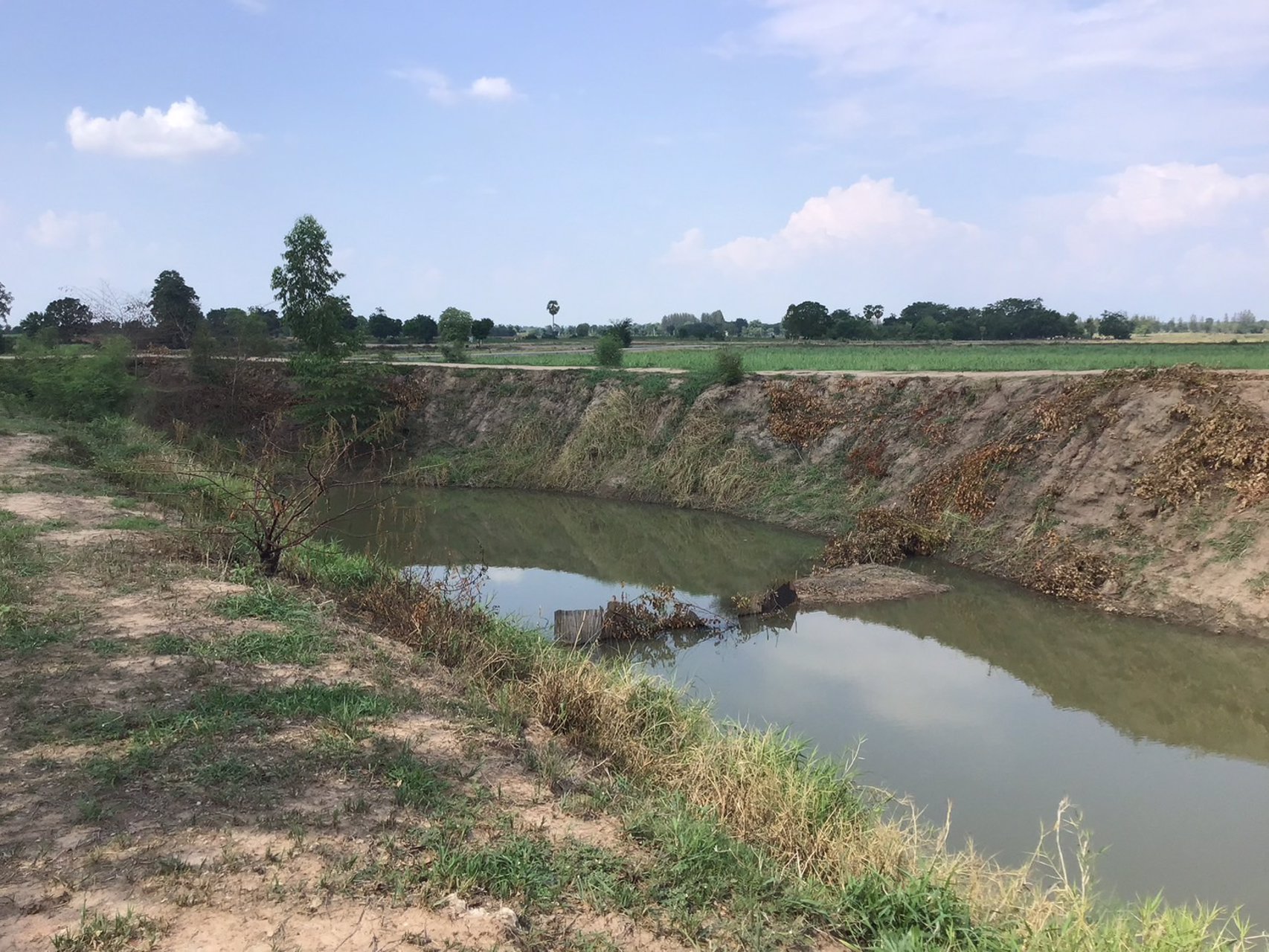 ที่ดิน-โฉนดครุฑแดง-ราคาถูก-ไร่ละ-120000