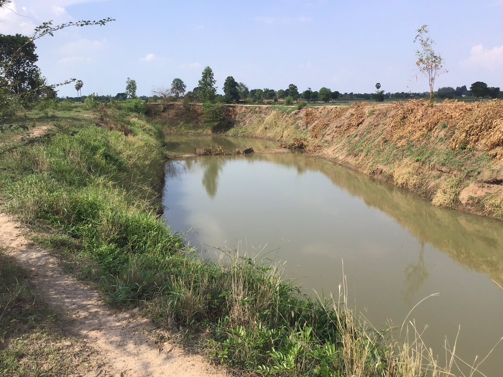 ที่ดิน-โฉนดครุฑแดง-ราคาถูก-ไร่ละ-120000