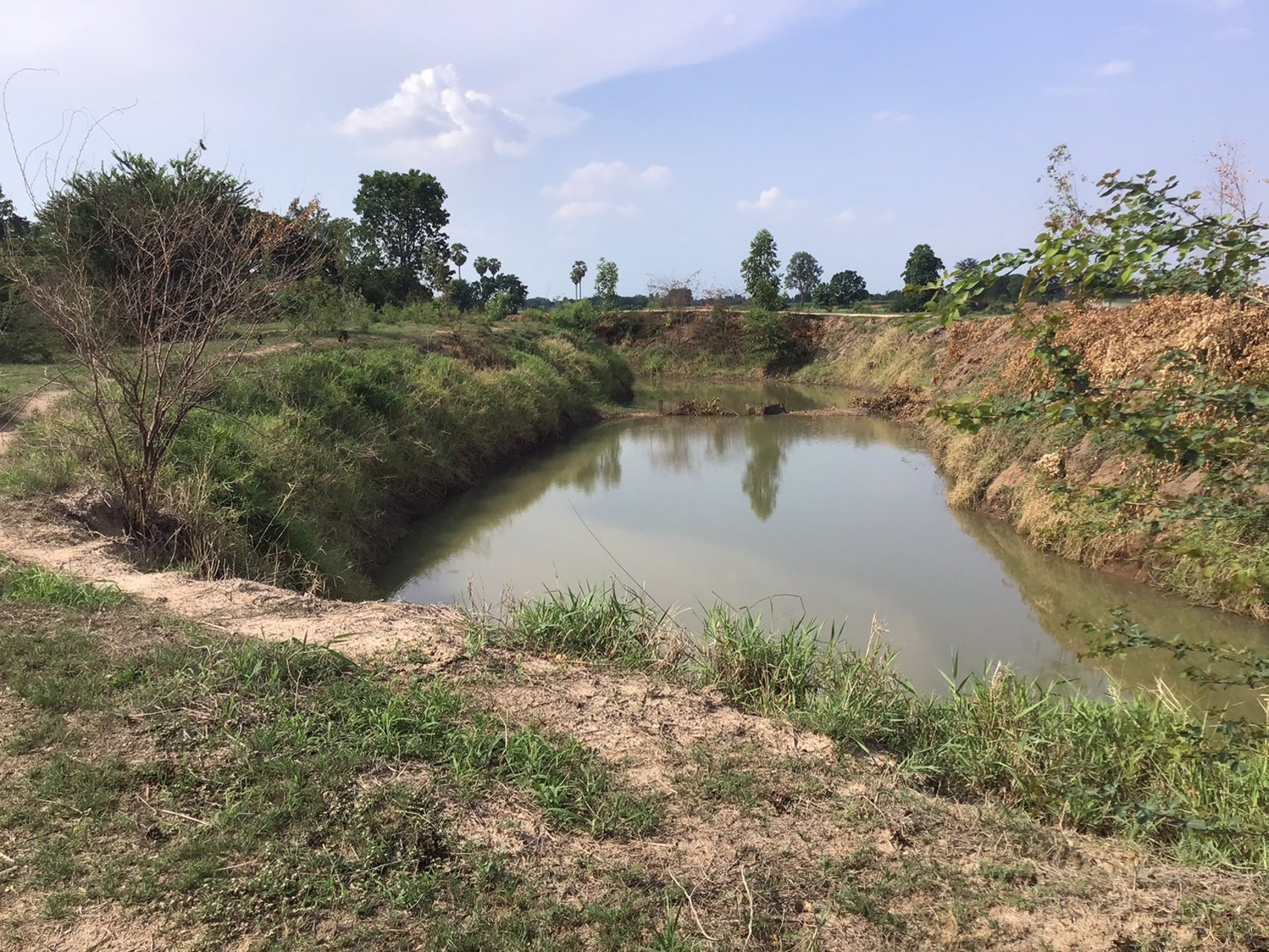 ที่ดิน-โฉนดครุฑแดง-ราคาถูก-ไร่ละ-120000