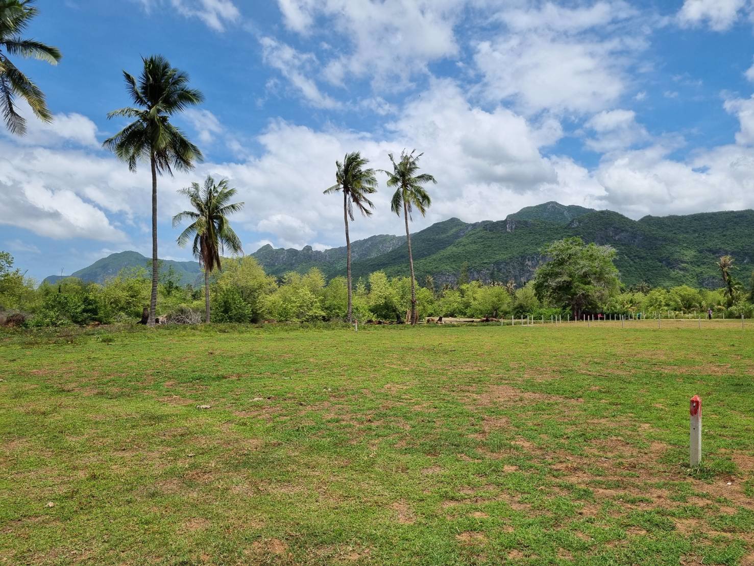 ขายที่ดินเปล่า-มีโฉนด-เนื้อที่-100-ตารางวา-ใกล้ทะเลหาดสามร้อยยอด