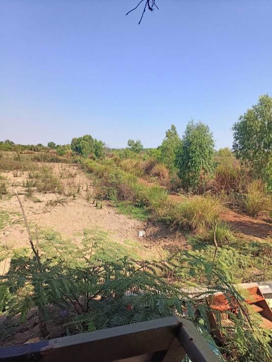 ขายที่ดินพร้อมสิ่งปลูกสร้าง-ใกล้แหล่งชุมชน-อำเภอพังโคน-สกลนคร