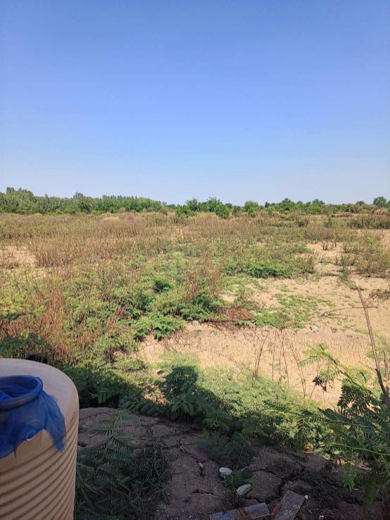 ขายที่ดินพร้อมสิ่งปลูกสร้าง-ใกล้แหล่งชุมชน-อำเภอพังโคน-สกลนคร