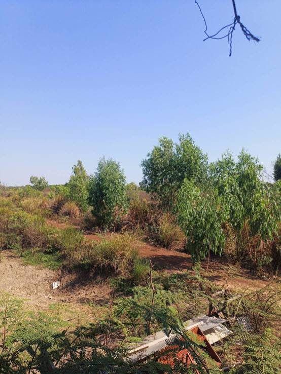 ขายที่ดินพร้อมสิ่งปลูกสร้าง-ใกล้แหล่งชุมชน-อำเภอพังโคน-สกลนคร