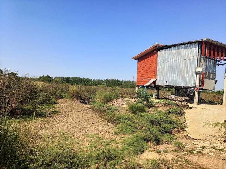 ขายที่ดินพร้อมสิ่งปลูกสร้าง-ใกล้แหล่งชุมชน-อำเภอพังโคน-สกลนคร