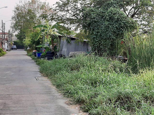 出售-ที่ดินสวยในทำเลทอง-ขนาด3ไร่-350ตรว-หน้ากว้าง-ซอยคู้บอน-44-เเขวงบางชัน-เขตคลองสามวา