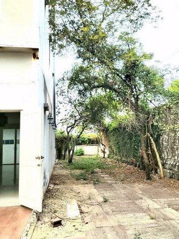 出售-sale-ขาย-ทาวเฮ้าส์หลังมุม-ทาวน์พลัสเอ็กซ์-ลาดพร้าว-townplus-x-4นอน-3น้ำ-54ตรว