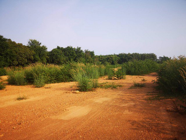 出售-ที่ดินเปล่าถมเเล้ว-หน้ากว้างสวย-ติดถนนสุขุมวิท-11-ไร่-736-ตรว