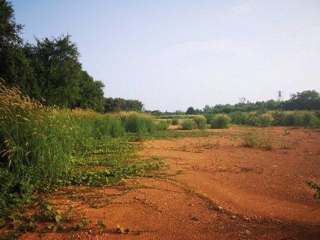 出售-ที่ดินเปล่าถมเเล้ว-หน้ากว้างสวย-ติดถนนสุขุมวิท-11-ไร่-736-ตรว