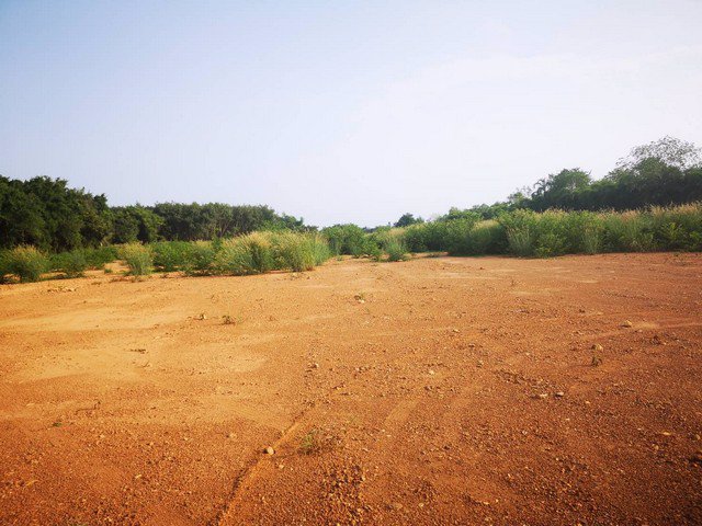 出售-ที่ดินเปล่าถมเเล้ว-หน้ากว้างสวย-ติดถนนสุขุมวิท-11-ไร่-736-ตรว