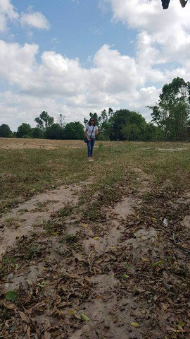 ที่ดินสวย-พทสีเเดง-เหมาะสร้างโกดัง-หมู่บ้าน-ใกล้มอเตอร์เวย์-331-332-จระยอง-คุณนุช-0856602324