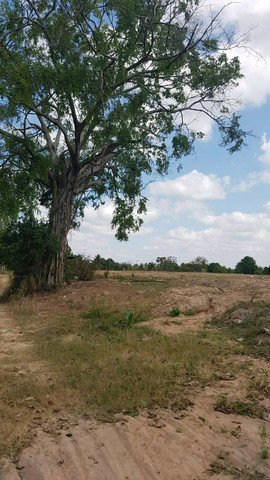 ที่ดินสวย-พทสีเเดง-เหมาะสร้างโกดัง-หมู่บ้าน-ใกล้มอเตอร์เวย์-331-332-จระยอง-คุณนุช-0856602324