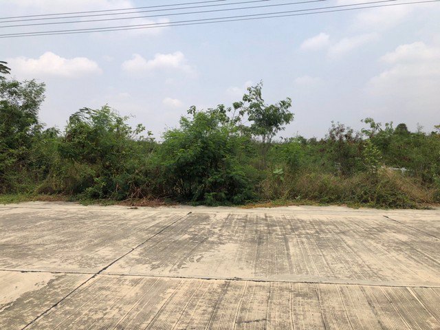 ขายที่ดินสวย-4ไร่83ตรวหรือ-ขายเเบ่งเเปลง-ถนนสระบุรี-หล่มสัก-อพัฒนานิคม-จลพบุรี