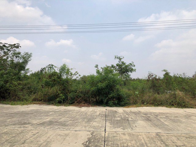 ขายที่ดินสวย-4ไร่83ตรวหรือ-ขายเเบ่งเเปลง-ถนนสระบุรี-หล่มสัก-อพัฒนานิคม-จลพบุรี