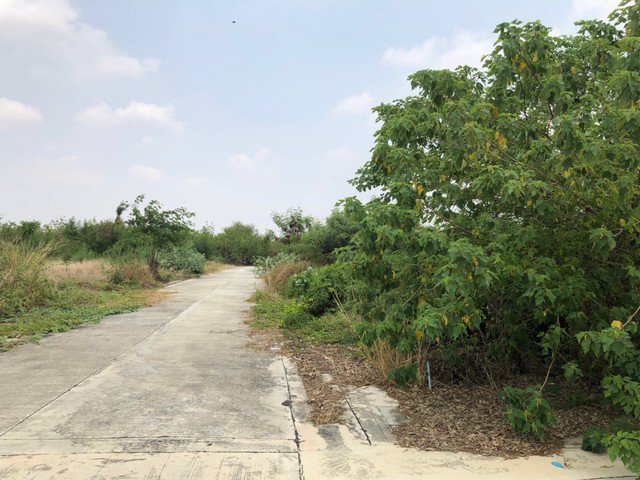 ขายที่ดินสวย-4ไร่83ตรวหรือ-ขายเเบ่งเเปลง-ถนนสระบุรี-หล่มสัก-อพัฒนานิคม-จลพบุรี