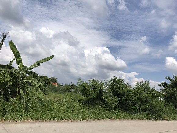 ขายที่ดิน-1-ไร่-340-ตรวา-ในซอยราษฎร์อุทิศ-70-คู้ขวา