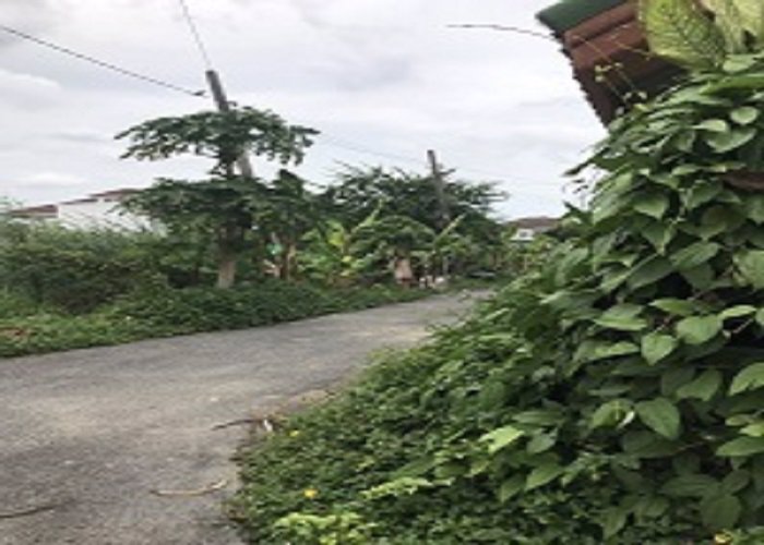 ขายที่ดิน-50-ตรวา-รามอินทรา-62-แยก-15-ทำเลดีมาก