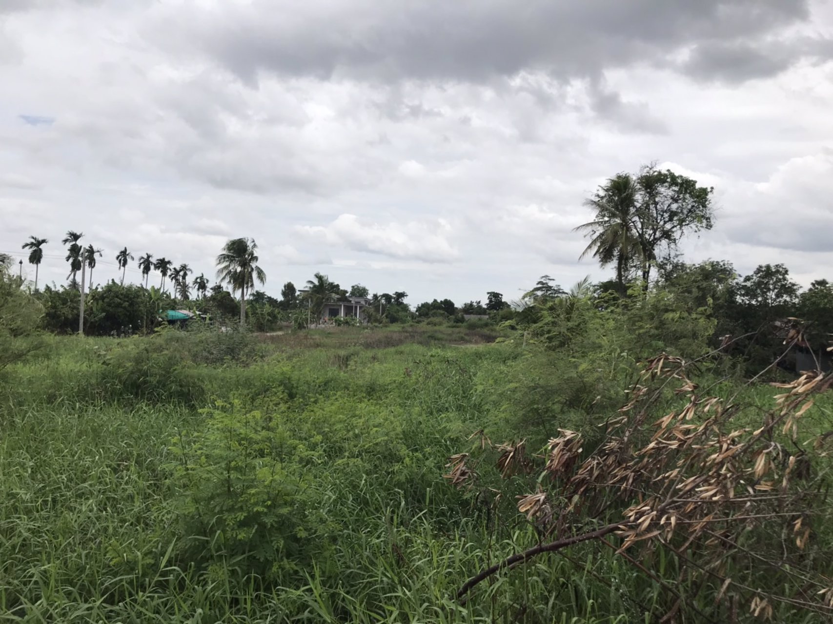 ขายที่ดิน-4-ไร่-40-ตรวา-ติดถนนศรีนครินทร์-ร่มเกล้า