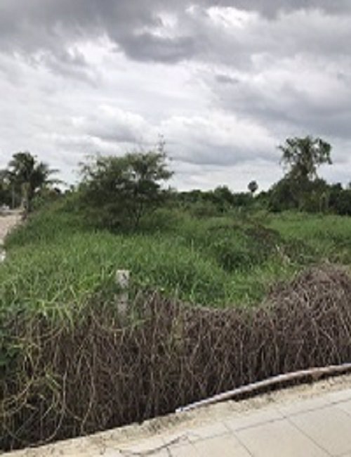 ขายที่ดิน-4-ไร่-40-ตรวา-ติดถนนศรีนครินทร์-ร่มเกล้า