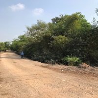 ขายที่ดิน-100-ไร่-ติดถนนเรียบคลอง-13-สายกลาง