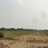 ขายที่ดิน-100-ไร่-ติดถนนเรียบคลอง-13-สายกลาง