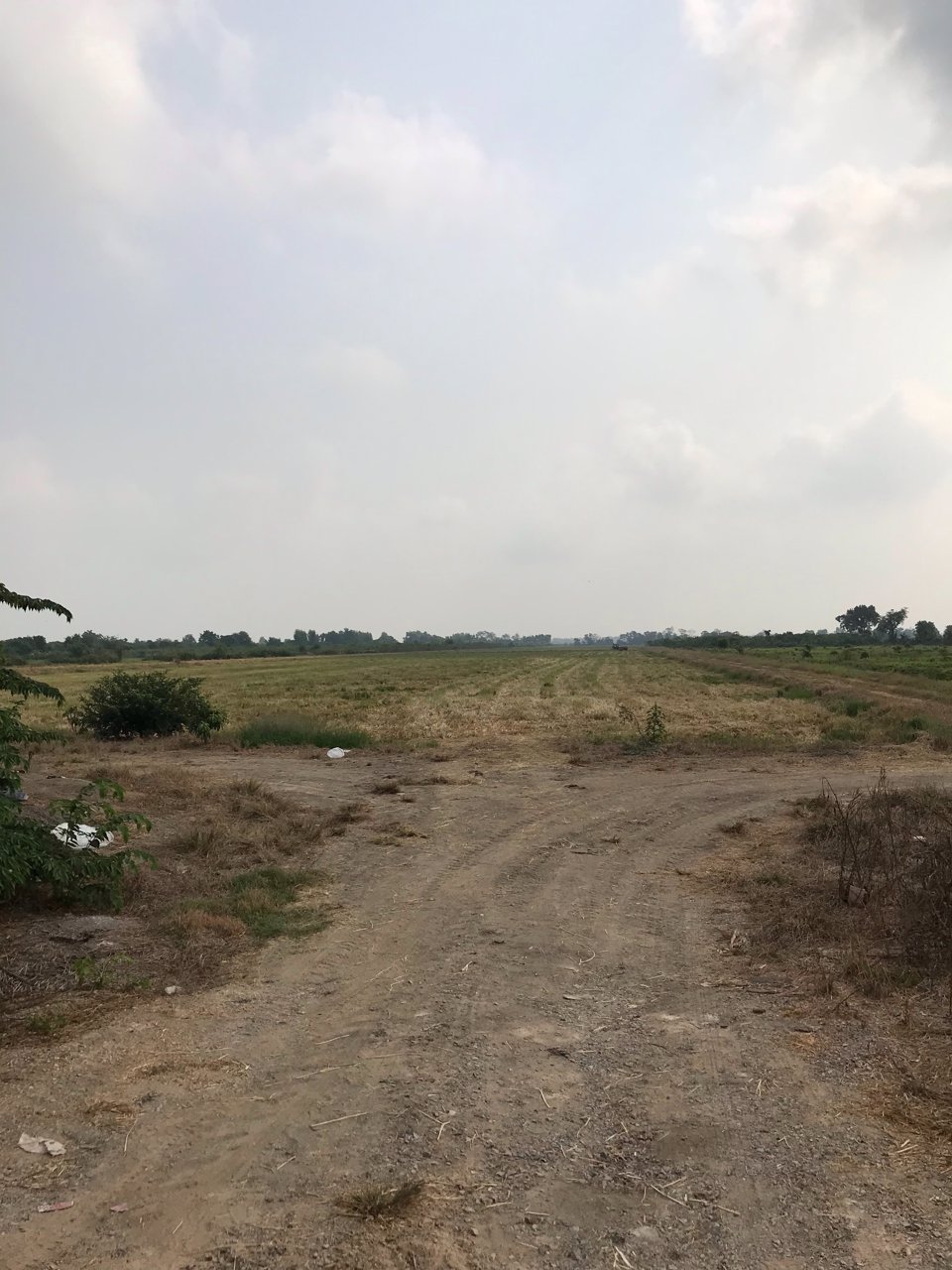 ขายที่ดิน-100-ไร่-ติดถนนเรียบคลอง-13-สายกลาง