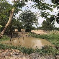 ขายที่ดิน-106-ไร่-จากราคา-53-ล้านลงมาเหลือ-38-ล้านต้นๆบ้านนานครนายก