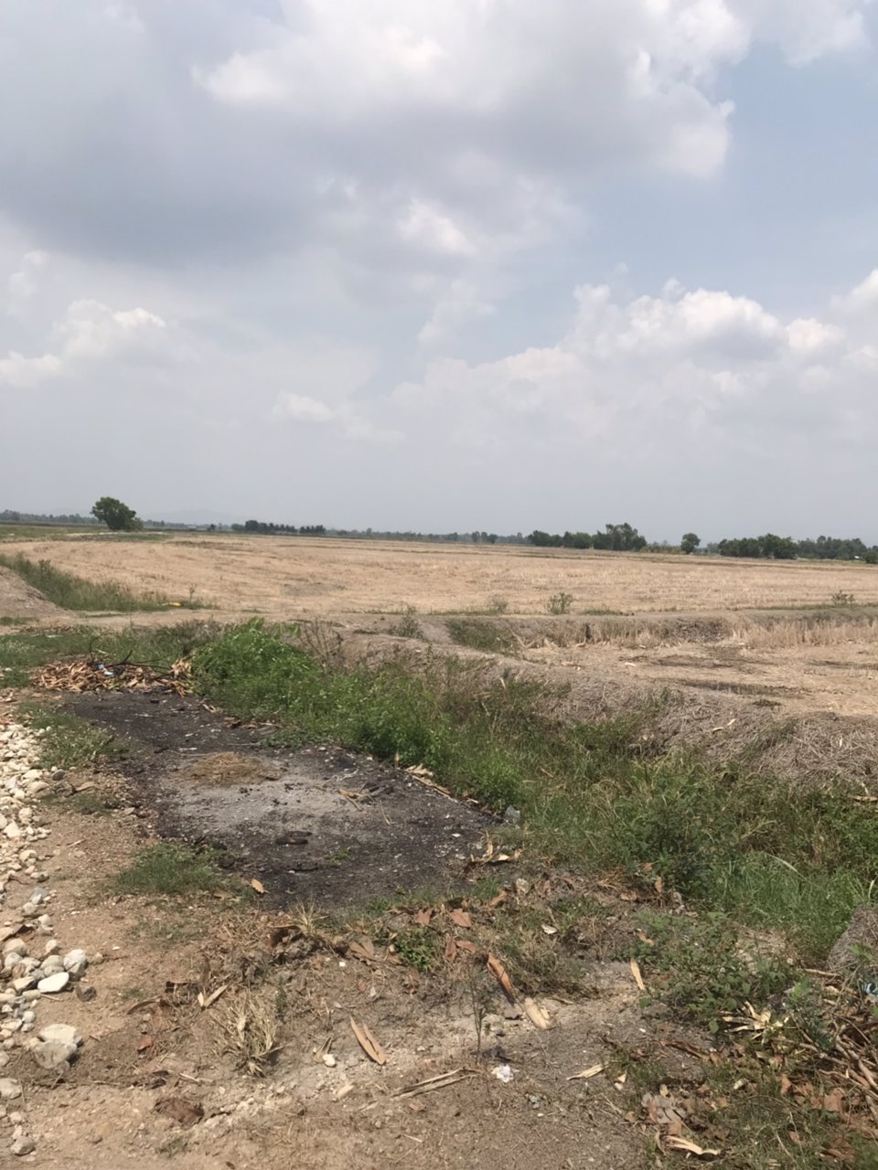 ขายที่ดิน-106-ไร่-จากราคา-53-ล้านลงมาเหลือ-38-ล้านต้นๆบ้านนานครนายก