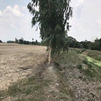 ขายที่ดิน-106-ไร่-จากราคา-53-ล้านลงมาเหลือ-38-ล้านต้นๆบ้านนานครนายก