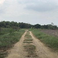 ขายที่ดิน-106-ไร่-จากราคา-53-ล้านลงมาเหลือ-38-ล้านต้นๆบ้านนานครนายก